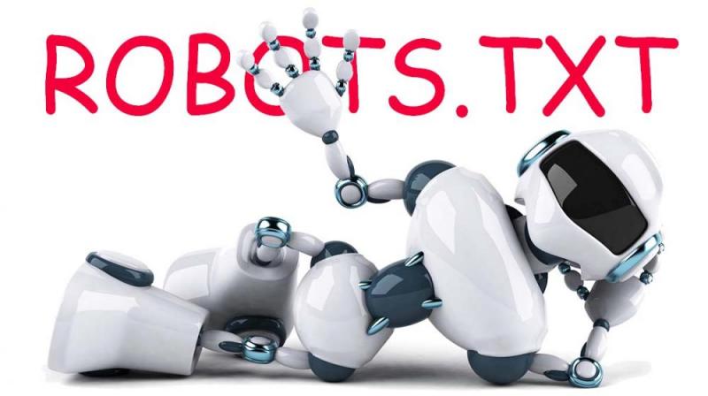 Что такое robots.txt и зачем он нужен в Курске